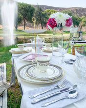 Load image into Gallery viewer, Picnic setup outdoors at a park with pillows, picnic table, china plating, silverware and a beverage station for hot tea and sparkling beverages